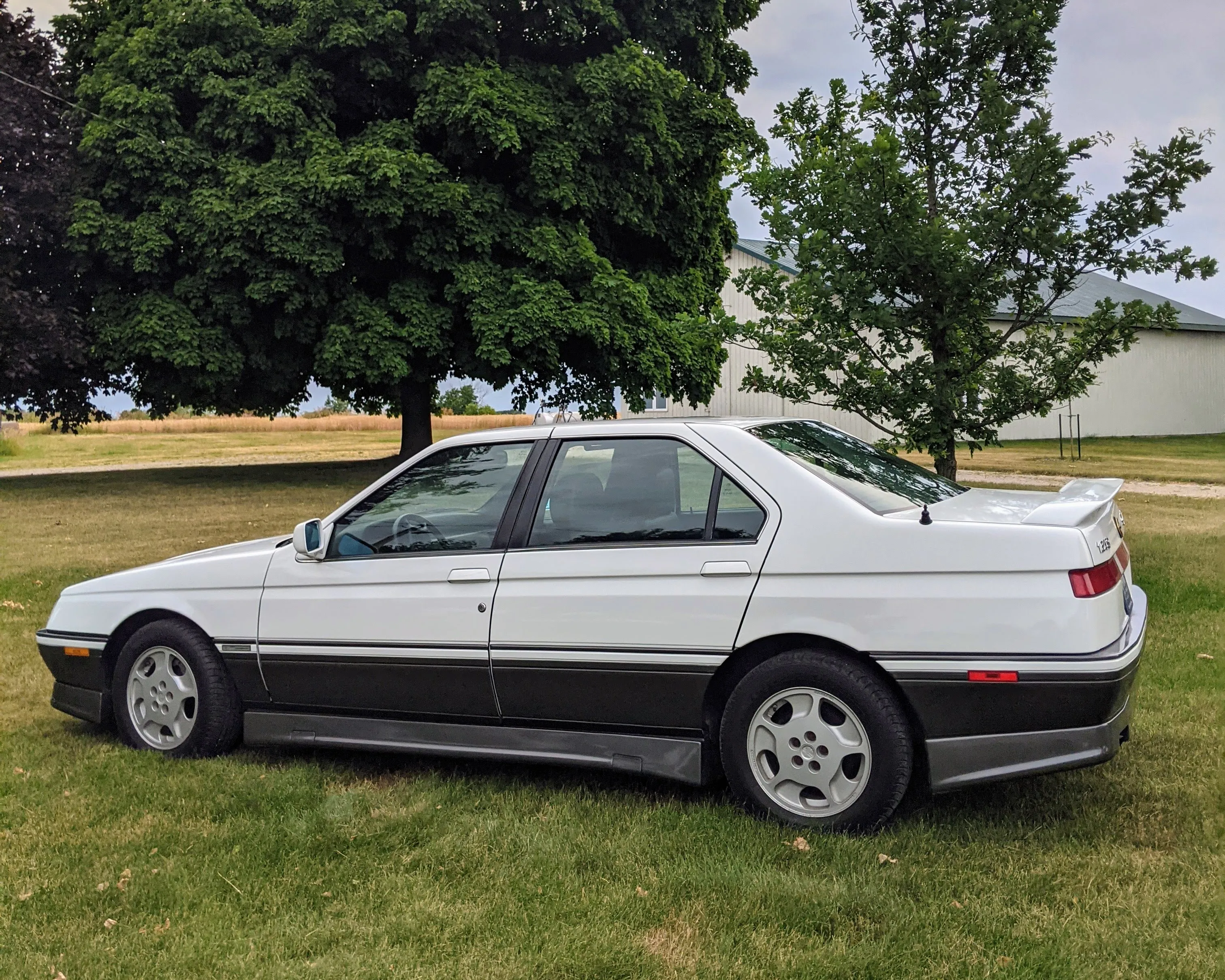 Alfa Romeo 164