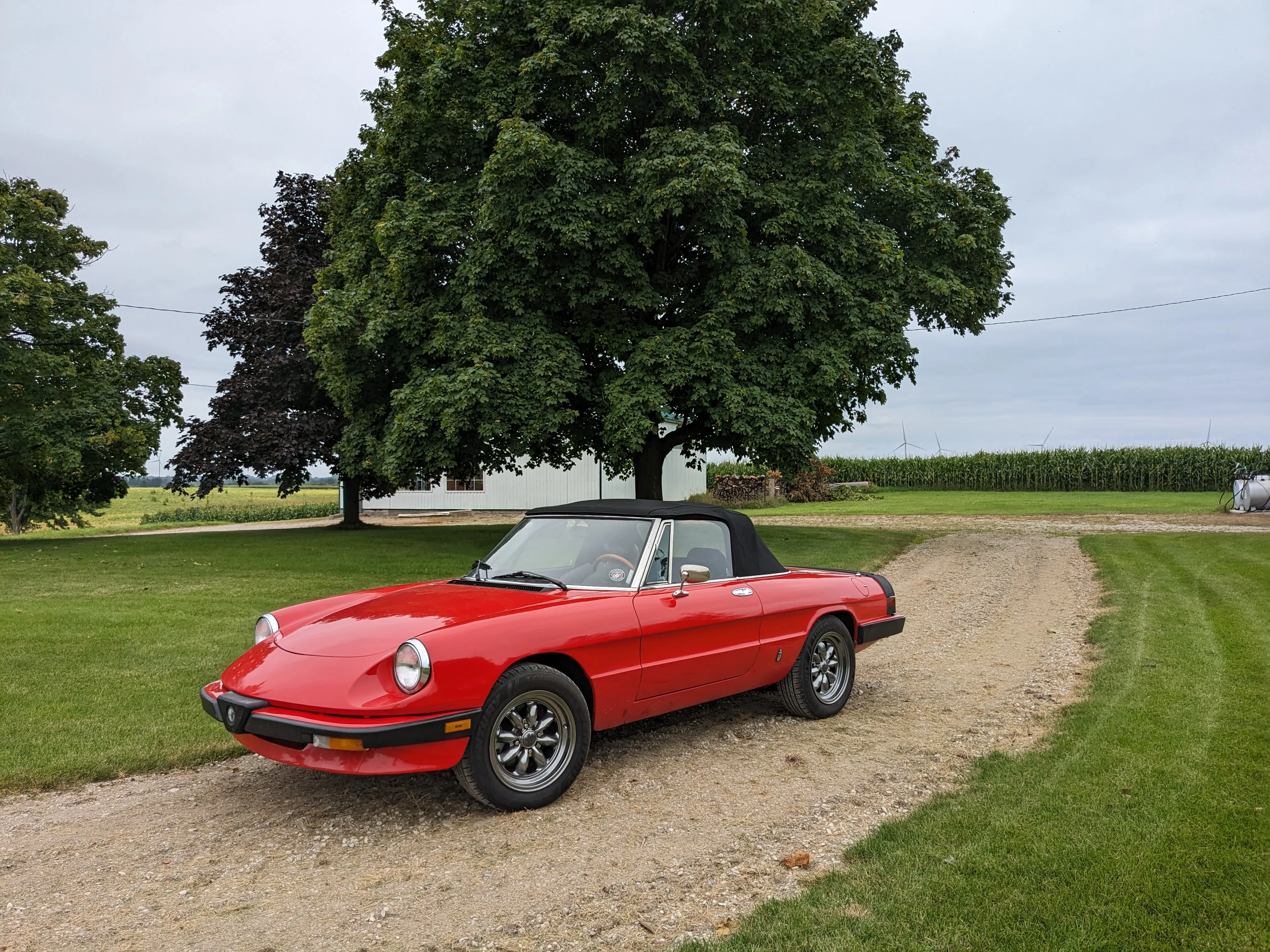 Alfa Romeo Spider